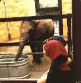 Seneca Zoo Rochester NY